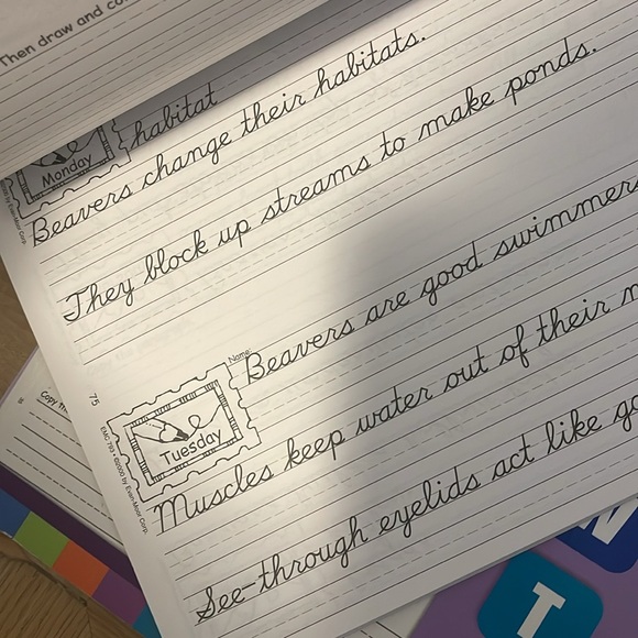 3xAllGrades Contemporary Cursive, Traditional and Modern Manuscript Handwriting - Picture 4 of 6